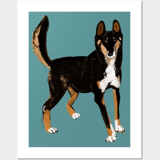 Black Alpine Dingo Posters and Art